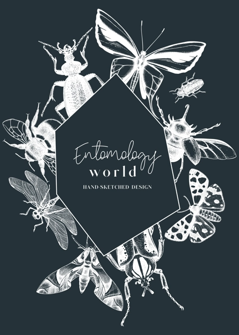 Hand-sketched insect wreath template on chalkboard. Hand drawn beetles, bugs, butterflies, dragonfly, cicada, bee illustrations in vintage style. Entomological frame design with insects outlines